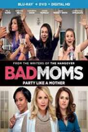 Bad Moms 2016