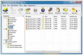 Internet Download Manager v6