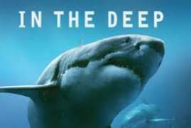 47 Meters Down