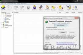 Internet Download Manager Build 11